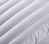 Hotel Firm Buckwheat Pillow