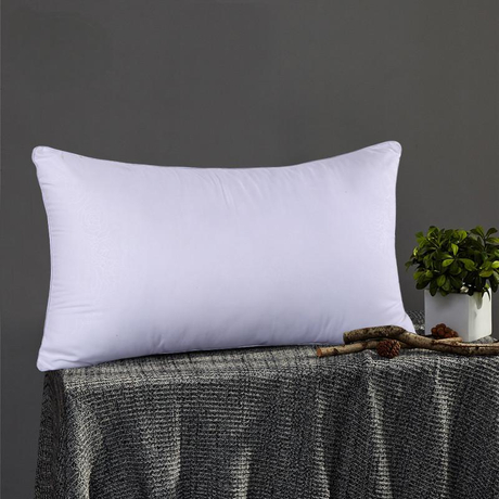 Pillow-Feather2294892996212853221.jpg